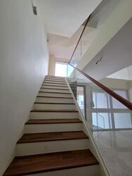 Opera Estate (D15), Terrace #600260981